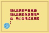 新化县黄精产业发展(新化县积极发展黄精产业，助力当地经济发展)