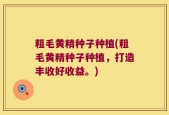 粗毛黄精种子种植(粗毛黄精种子种植，打造丰收好收益。)
