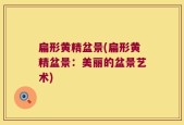 扁形黄精盆景(扁形黄精盆景：美丽的盆景艺术)