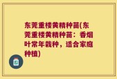 东莞重楼黄精种苗(东莞重楼黄精种苗：香烟叶常年栽种，适合家庭种植)