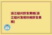 浙江绍兴野生黄精(浙江绍兴发现珍稀野生黄精)