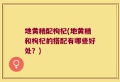 地黄精配枸杞(地黄精和枸杞的搭配有哪些好处？)