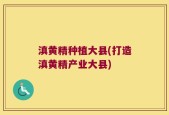 滇黄精种植大县(打造滇黄精产业大县)