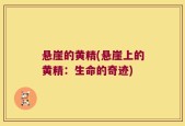 悬崖的黄精(悬崖上的黄精：生命的奇迹)
