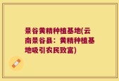 景谷黄精种植基地(云南景谷县：黄精种植基地吸引农民致富)