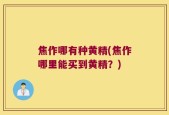 焦作哪有种黄精(焦作哪里能买到黄精？)