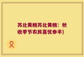 苏北黄精苏北黄精：秋收季节农民喜忧参半)