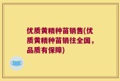 优质黄精种苗销售(优质黄精种苗销往全国，品质有保障)