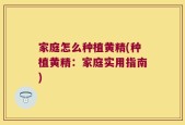 家庭怎么种植黄精(种植黄精：家庭实用指南)