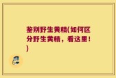鉴别野生黄精(如何区分野生黄精，看这里！)