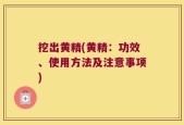 挖出黄精(黄精：功效、使用方法及注意事项)