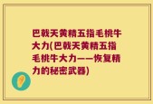 巴戟天黄精五指毛桃牛大力(巴戟天黄精五指毛桃牛大力——恢复精力的秘密武器)