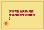 河南有野生黄精(河南发现珍稀野生药材黄精)