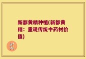 新都黄精种植(新都黄精：重现传统中药材价值)