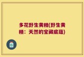 多花野生黄精(野生黄精：天然的宝藏底蕴)
