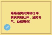 路路通黄芪黄精杜仲(黄芪黄精杜仲，通路补气，益精强骨)