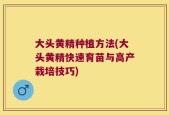 大头黄精种植方法(大头黄精快速育苗与高产栽培技巧)