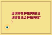 运城哪里种植黄精(运城哪里适合种植黄精？)