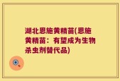 湖北恩施黄精苗(恩施黄精苗：有望成为生物杀虫剂替代品)