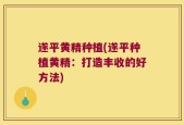 遂平黄精种植(遂平种植黄精：打造丰收的好方法)