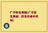 广宁野生黄精(广宁野生黄精：野生珍稀中药材)