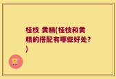 桂枝 黄精(桂枝和黄精的搭配有哪些好处？)