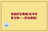 家庭野生黄精(家中珍贵之物——野生黄精)