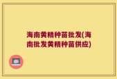 海南黄精种苗批发(海南批发黄精种苗供应)