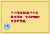 巴中种植黄精(巴中市黄精种植：生态种植技术蓬勃发展)