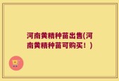 河南黄精种苗出售(河南黄精种苗可购买！)