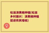 松滋滇黄精种植(松滋乡村振兴：滇黄精种植促进农民增收)