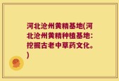 河北沧州黄精基地(河北沧州黄精种植基地：挖掘古老中草药文化。)