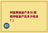 种植黄精亩产多少(黄精种植亩产出多少收成？)