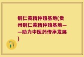铜仁黄精种殖基地(贵州铜仁黄精种殖基地——助力中医药传承发展)