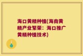 海口黄精种植(海南黄精产业繁荣：海口推广黄精种植技术)