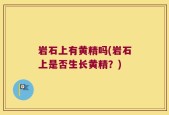 岩石上有黄精吗(岩石上是否生长黄精？)