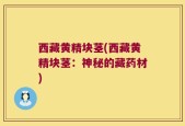 西藏黄精块茎(西藏黄精块茎：神秘的藏药材)