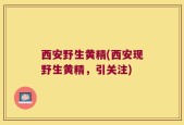 西安野生黄精(西安现野生黄精，引关注)