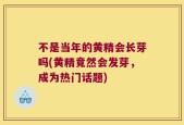 不是当年的黄精会长芽吗(黄精竟然会发芽，成为热门话题)