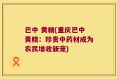 巴中 黄精(重庆巴中黄精：珍贵中药材成为农民增收新宠)