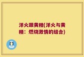洋火跟黄精(洋火与黄精：燃烧激情的组合)