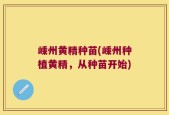 嵊州黄精种苗(嵊州种植黄精，从种苗开始)