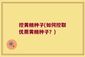 挖黄精种子(如何挖取优质黄精种子？)
