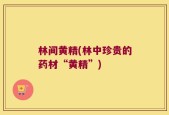 林间黄精(林中珍贵的药材“黄精”)
