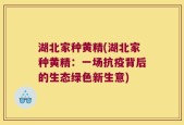 湖北家种黄精(湖北家种黄精：一场抗疫背后的生态绿色新生意)