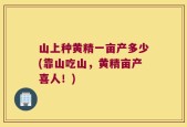 山上种黄精一亩产多少(靠山吃山，黄精亩产喜人！)