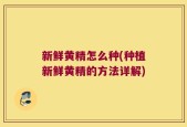 新鲜黄精怎么种(种植新鲜黄精的方法详解)