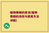 植物黄精的用法(植物黄精的功效与使用方法详解)