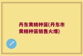 丹东黄精种苗(丹东市黄精种苗销售火爆)