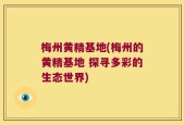 梅州黄精基地(梅州的黄精基地 探寻多彩的生态世界)